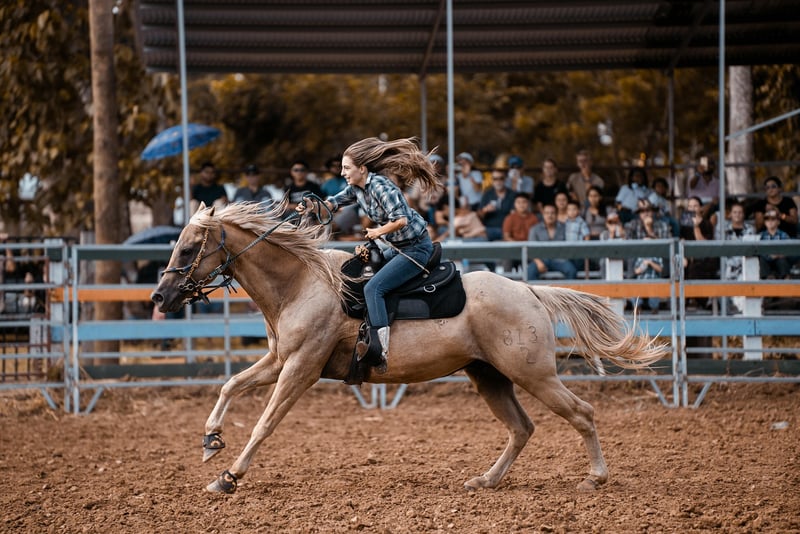 Wild West Rodeo